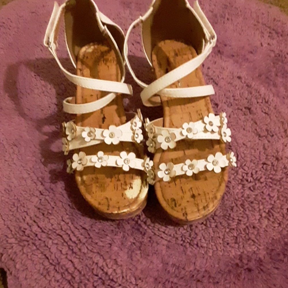 American eagle wedges